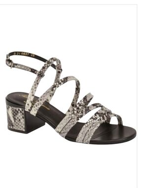 Robert Clergerie Eolia Snake Print Leather Block Heel Sandals Sz 6